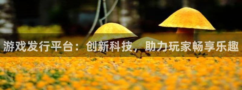 db电竞官网开户待遇：游戏发行平台：创新科技，助力玩家畅享乐趣