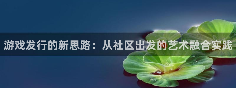 db电竞官网注册平台登录不上：游戏发行的新思路：从社区出发的艺术融合实践