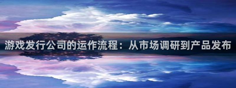 db电竞电子商务有限公司怎么样：游戏发行公司的运作流程：从市场调研到产品发布