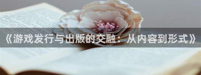 db电竞平台登录入口官网：《游戏发行与出版的交融：从内容到形式》