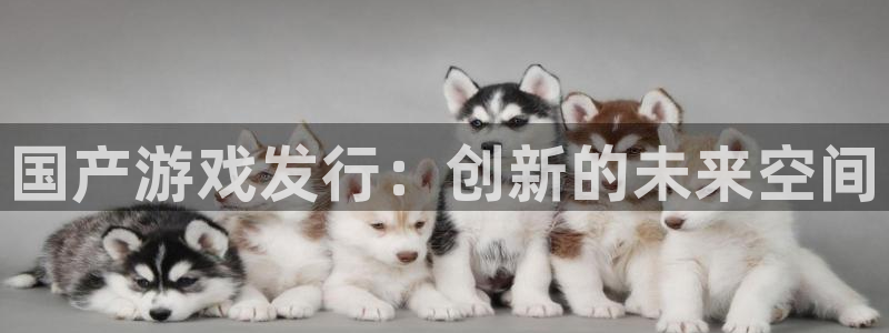 db电竞官网注册方法有哪些：国产游戏发行：创新的未来空间