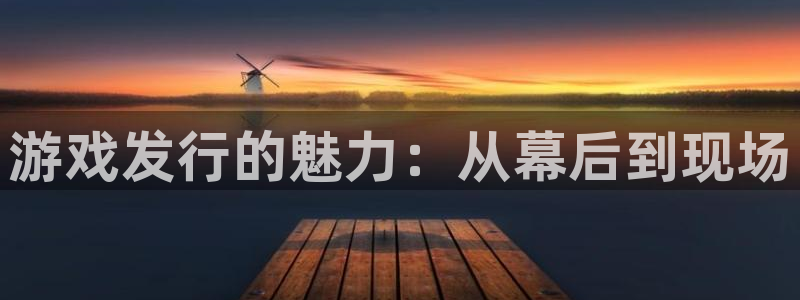 db电竞官网注册平台怎么注册账号：游戏发行的魅力：从幕后到现场