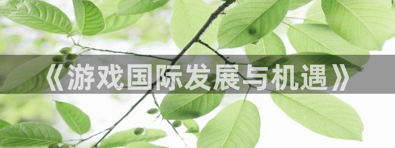 江苏db电竞智得新材料有限公司：《游戏国际发展与机遇》