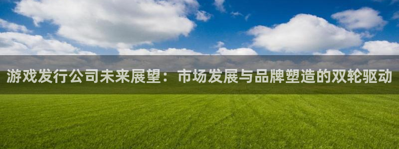 db电竞子财经丛书有哪些：游戏发行公司未来展望：市场发展与品牌塑造的双轮驱动