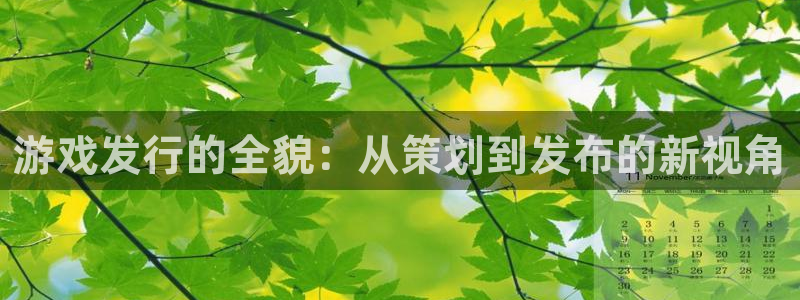 db电竞技术有限公司怎么样：游戏发行的全貌：从策划到发布的新视角