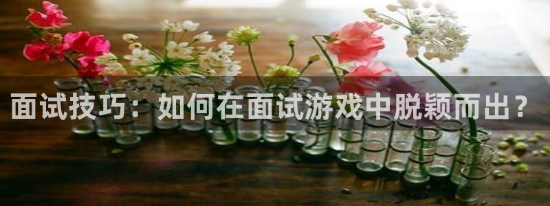 db电竞官网官网注册账号怎么注册：面试技巧：如何在面试游戏中脱颖而出？