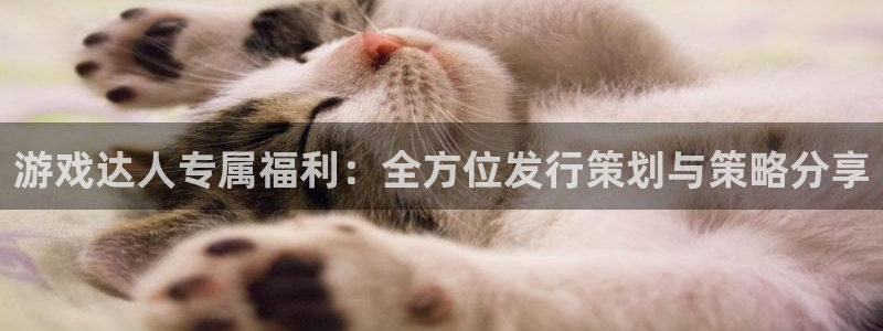 db电竞啤酒多少钱一箱