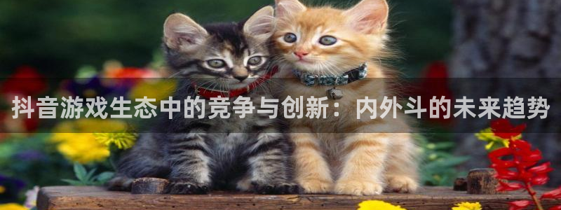陕西db电竞子文化创意是干什么的：抖音游戏生态中的竞争与创新：内外斗的未来趋势