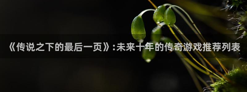 db电竞官网注册方法视频：《传说之下的最后一页》:未来十年的传奇游戏推荐列表