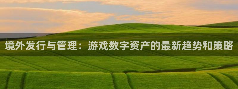 db电竞电子科技：境外发行与管理：游戏数字资产的最新趋势和策略
