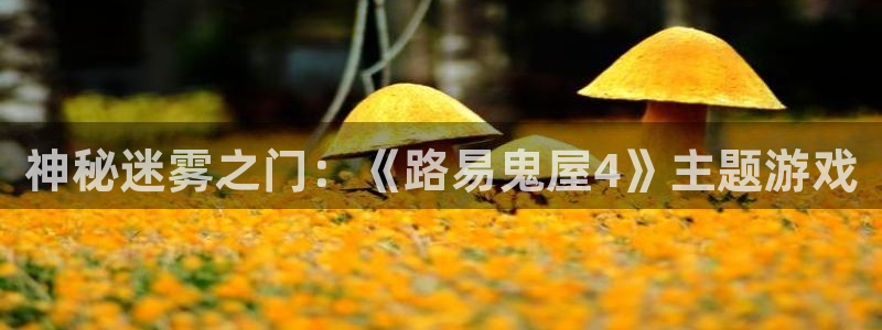 佛山db电竞电子商务