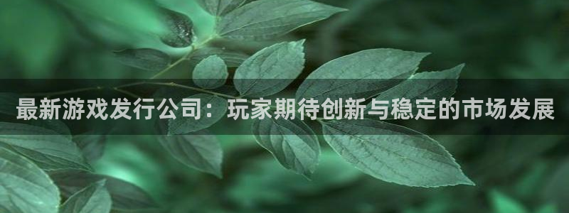 db电竞电商怎么样