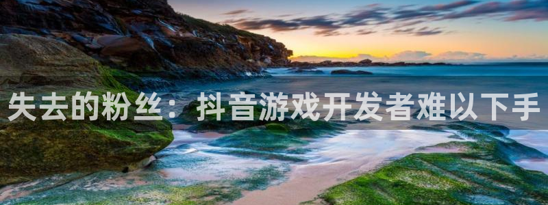 db电竞子上市：失去的粉丝：抖音游戏开发者难以下手