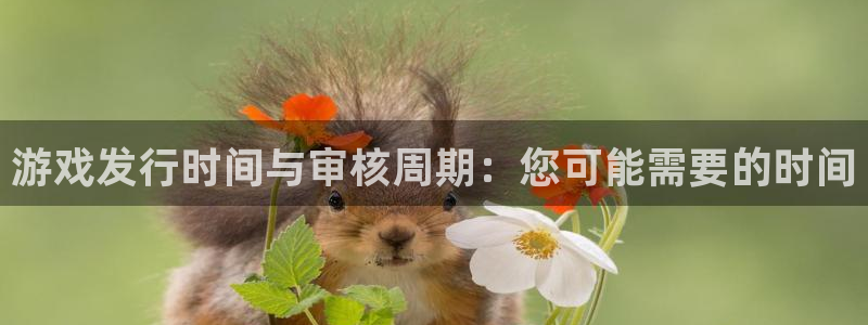 db电竞官网注册地址查询：游戏发行时间与审核周期：您可能需要的时间