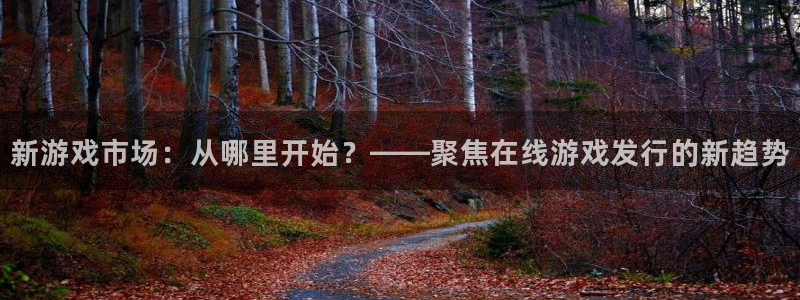 db电竞集团：新游戏市场：从哪里开始？——聚焦在线游戏发行的新趋势