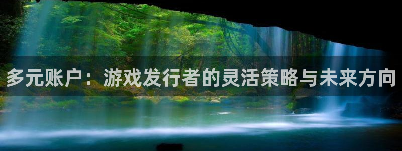广州db电竞投资管理顾问有限公司：多元账户：游戏发行者的灵活策略与未来方向