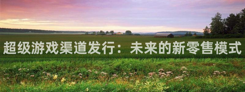 db电竞官网登录注册账号安全吗是真的吗：超级游戏渠道发行：未来的新零售模式