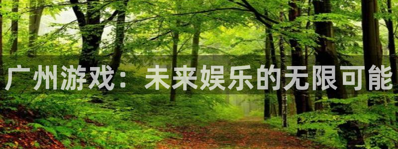 南京db电竞子电子商务有限公司：广州游戏：未来娱乐的无限可能